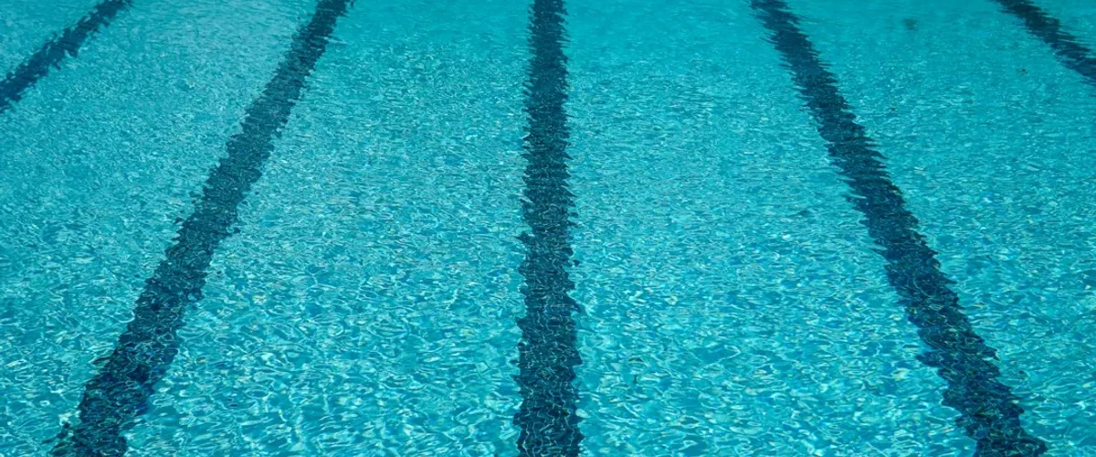 piscinier comment bien choisir
